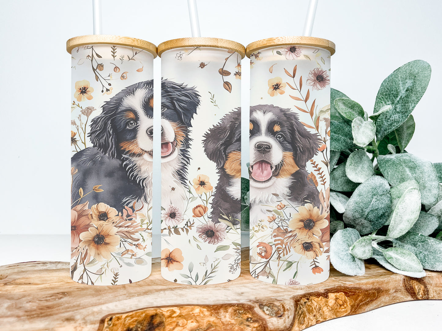 Bernese Mountain Dog 25oz Frosted Glass Tumbler, Dog Tumbler, Rescue Tumbler, Bernese Mountain Dog Tumbler