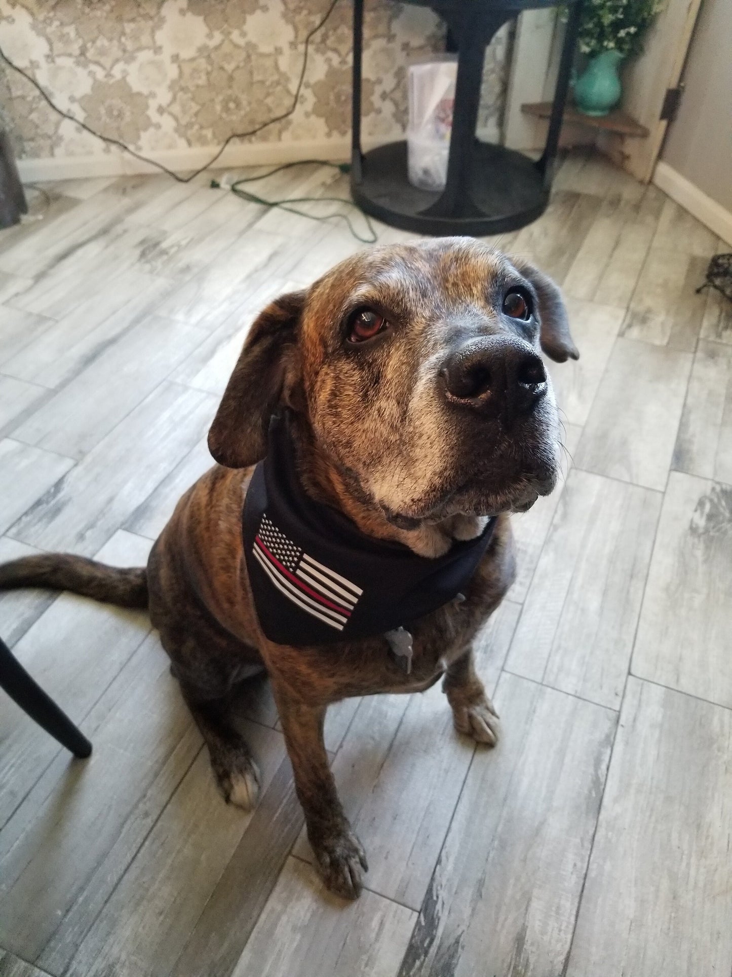 Thin Red Line Dog Bandana K9 Bandana Doggy Bandana - Firefighters - Military - American Flag - Red Line Flag - First Responder Dog