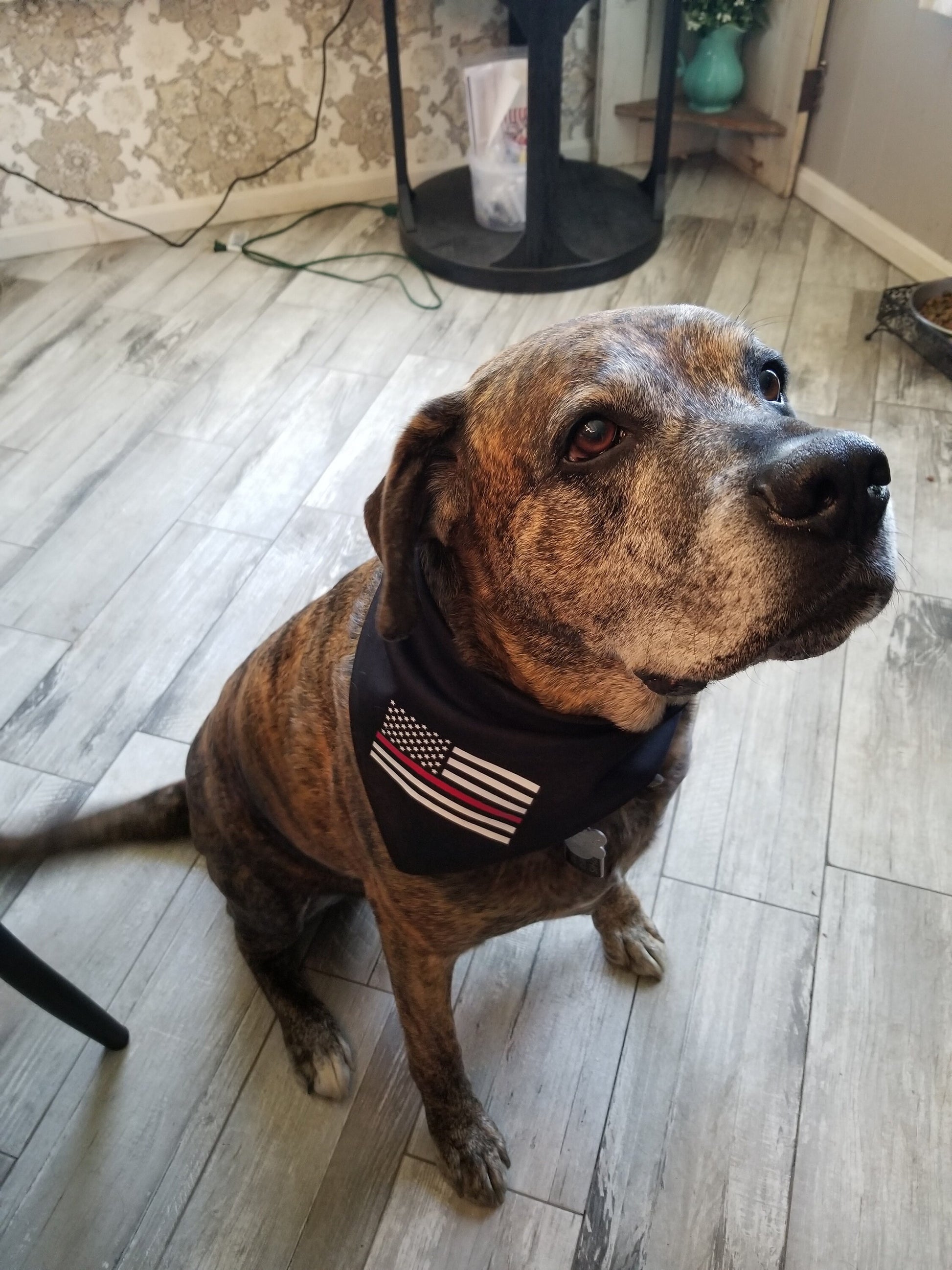 Thin Red Line Dog Bandana K9 Bandana Doggy Bandana - Firefighters - Military - American Flag - Red Line Flag - First Responder Dog