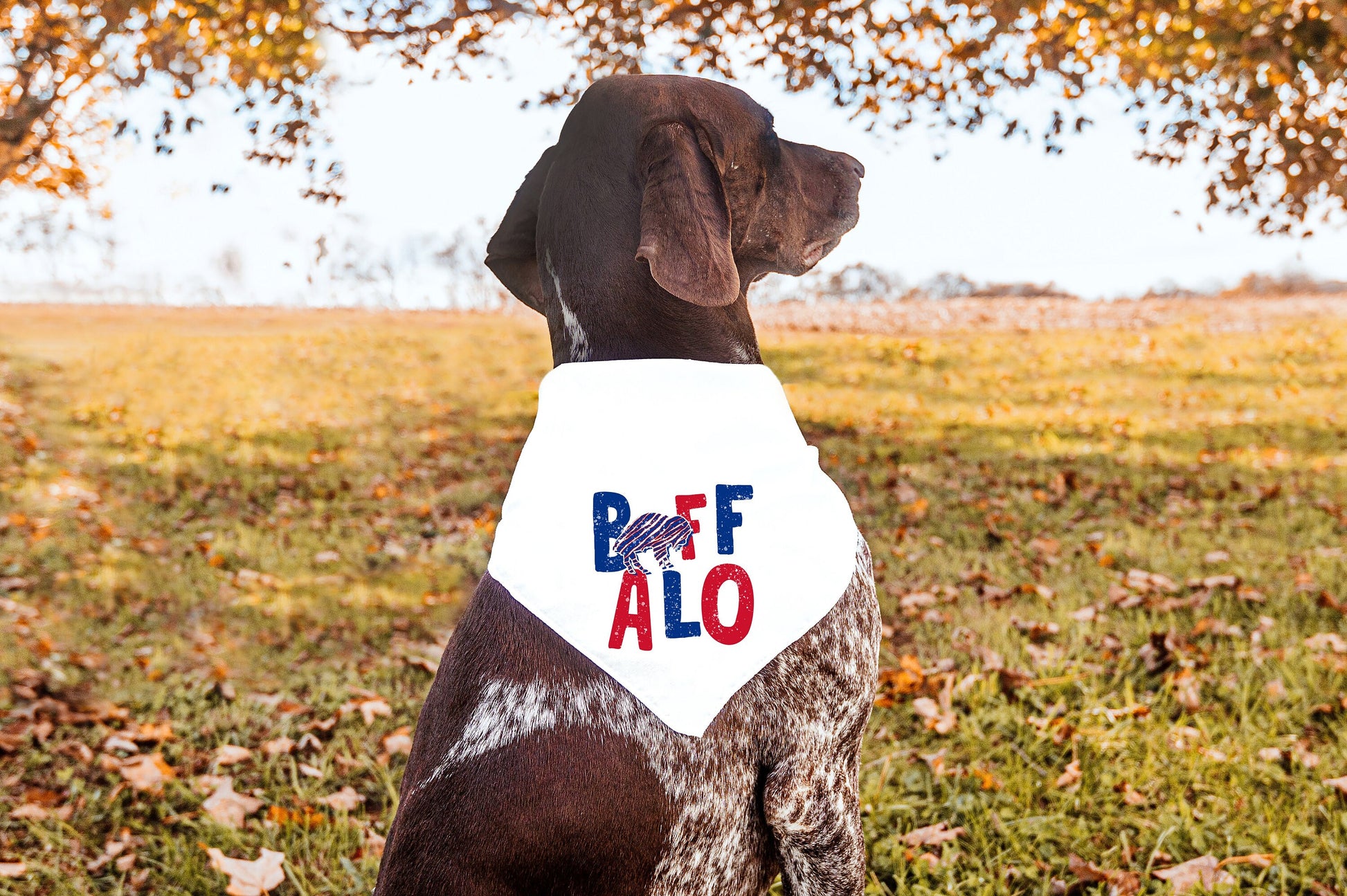 Buffalo Dog Bandana, Buffalo K9 Bandana Doggy Bandana