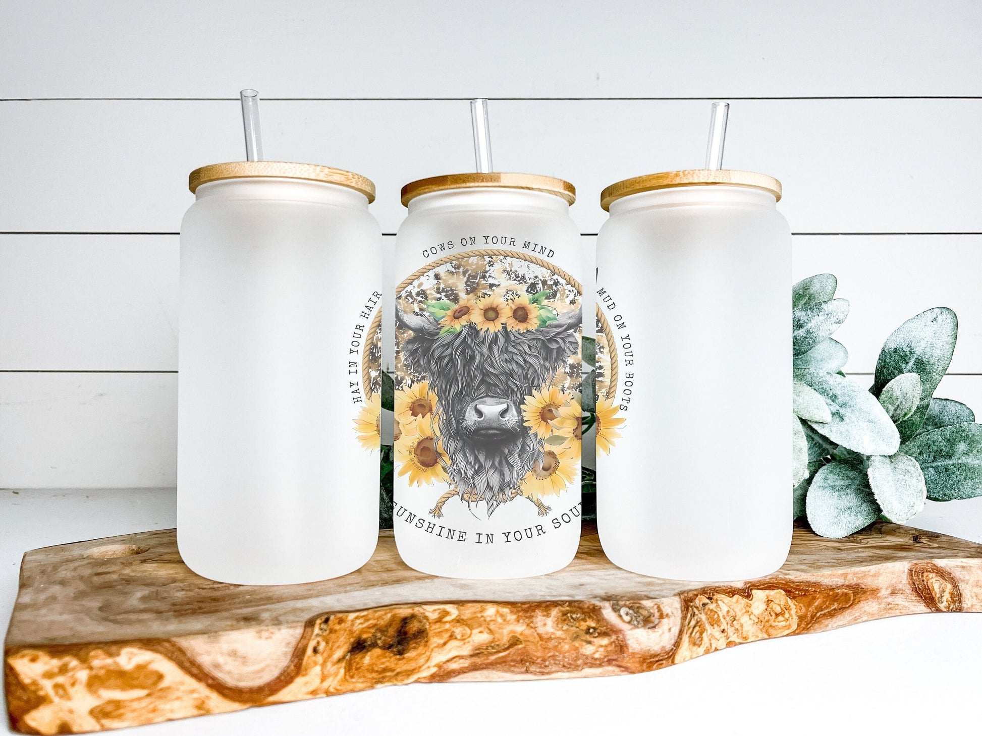 Highland Cow Cup Iced Coffee Cup Glass, Beer Can Glass, Highland Cow Coffee Cup, Glass Cup Coffee Can Beer, Cow Soda Can Glass